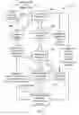 Fig. 06 - Inter-processor parameter management in a multiple-processor wireless mobile communication device operating on a processor specific communication network