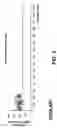 Fig. 04 - Recovering the reverse link in a cellular mobile communication system