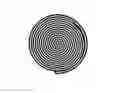 Fig. 01 - Spiral wound laminate wood and method for construction