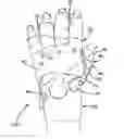 Fig. 01 - Dynamic gauntlet