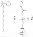 Fig. 02 - Carbon dioxide foamed fluids