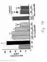 Fig. 22 - Methods for treating conditions associated with the accumulation of excess extracellular matrix