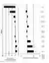 Fig. 08 - Method of modulating the proliferation of medullary thyroid carcinoma cells