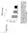 Fig. 04 - Use of glutathione synthesis stimulating compounds in reducing insulin resistance