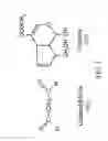 Fig. 02 - Crosslinkable biological material and medical uses