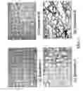 Fig. 03 - Crosslinkable biological material and medical uses