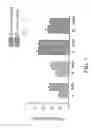 Fig. 08 - Crosslinkable biological material and medical uses