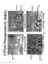 Fig. 20 - Crosslinkable biological material and medical uses