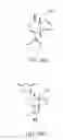 Fig. 33 - Crosslinkable biological material and medical uses