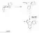 Fig. 02 - Triazole linked carbohydrates