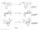 Fig. 04 - Triazole linked carbohydrates