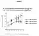 Fig. 03 - Hepatitis C virus codon optimized non-structural NS3/4A fusion gene