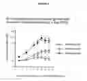 Fig. 04 - Hepatitis C virus codon optimized non-structural NS3/4A fusion gene