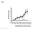 Fig. 02 - Remedies
