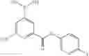 Fig. 66 - β-lactamase inhibitors and methods of use thereof