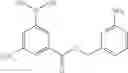 Fig. 82 - β-lactamase inhibitors and methods of use thereof