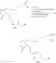 Fig. 115 - 2-decarboxy-2-phosphinico prostaglandin derivatives and methods for their preparation and use
