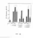 Fig. 04 - Methods and compositions for increasing CD4lymphocyte immune responsiveness