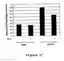 Fig. 24 - Methods and compositions for increasing CD4lymphocyte immune responsiveness