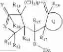 Fig. 04 - Decahydronaphtho[2,3-c]furan derivatives