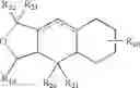 Fig. 06 - Decahydronaphtho[2,3-c]furan derivatives