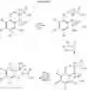 Fig. 09 - Dihydrobenzofuranyl alkanamines and methods for using same as cns agents