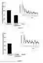 Fig. 02 - Developmental animal model of temporal lobe epilepsy