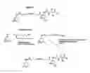 Fig. 02 - Method of targeting a therapeutic agent