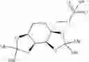 Fig. 15 - Method of targeting a therapeutic agent