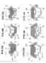 Fig. 09 - Skeleton member structure