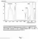 Fig. 02 - Absorbent polymeric material