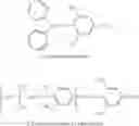 Fig. 08 - Process for producing modified polymer