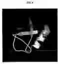 Fig. 02 - Process for preparation of polypeptides of interest from fusion polypeptides