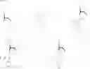 Fig. 10 - Industrial process for preparing tropenol