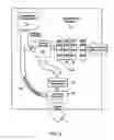 Fig. 06 - Drug profiling apparatus and method