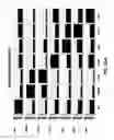 Fig. 32 - Drug profiling apparatus and method