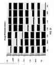 Fig. 34 - Drug profiling apparatus and method