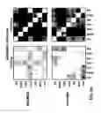 Fig. 35 - Drug profiling apparatus and method