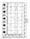Fig. 44 - Drug profiling apparatus and method