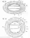 Fig. 35 - Dressing and an epidermal positioning mechanism and method for using same