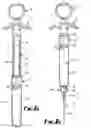 Fig. 02 - Safety syringe with re-usable main parts, method for disposal of a needle into a container and container for disposable parts