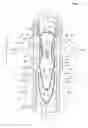 Fig. 02 - Elongated absorbent article