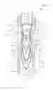Fig. 08 - Elongated absorbent article