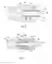 Fig. 03 - Luer cap with antibacterial property