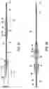 Fig. 06 - Apparatus and methods for treating stroke and controlling cerebral flow characteristics