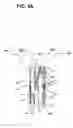 Fig. 07 - Hair removal system