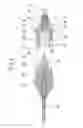 Fig. 04 - Medical instrument