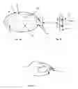 Fig. 02 - Method and apparatus for treating viral diseases