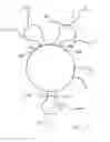 Fig. 03 - Ocular lens