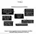 Fig. 04 - Differentially-expressed conifer cDNAs, and their use in improving somatic embryogenesis